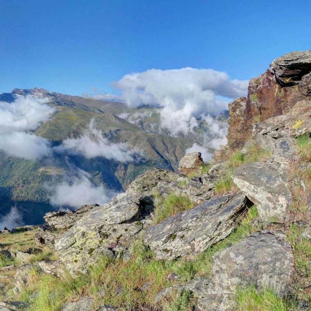 Excursión a Sierra Nevada: Paisajes y pueblos blancos